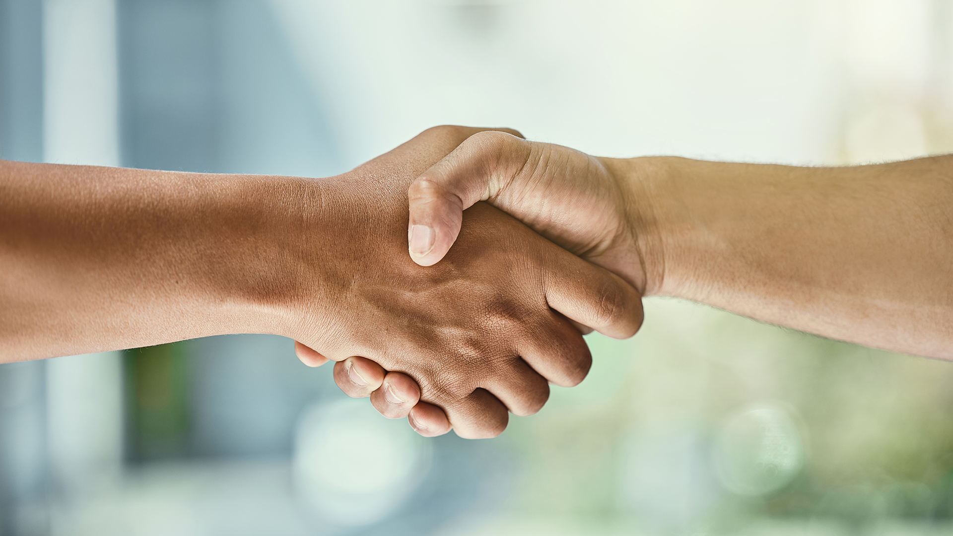 2 people shaking hands